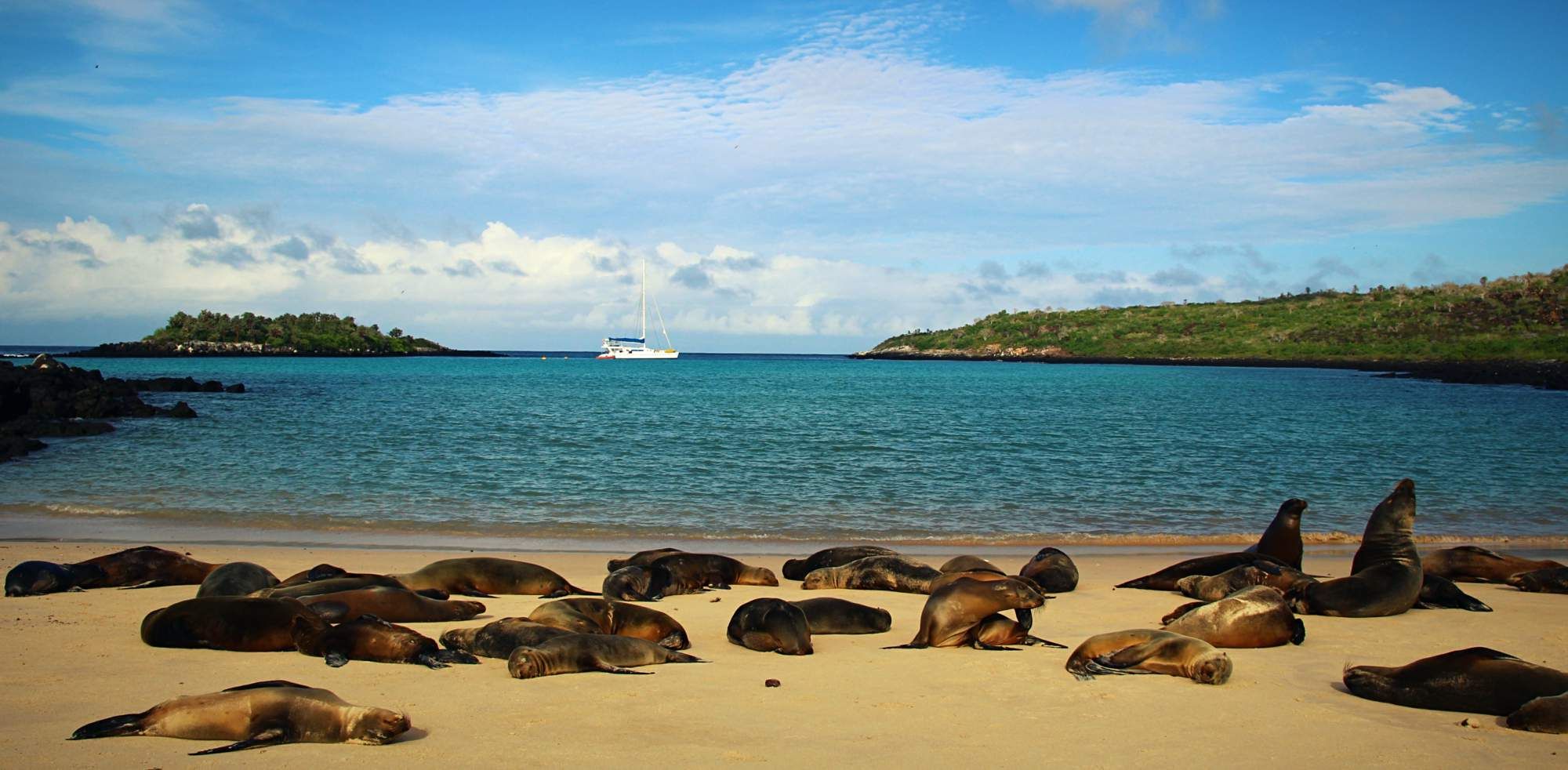 Galápagos - A Tale of Endemic Creatures and Seasickness